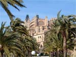 Palma, Kathedrale