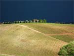 Gewitter im Chianti